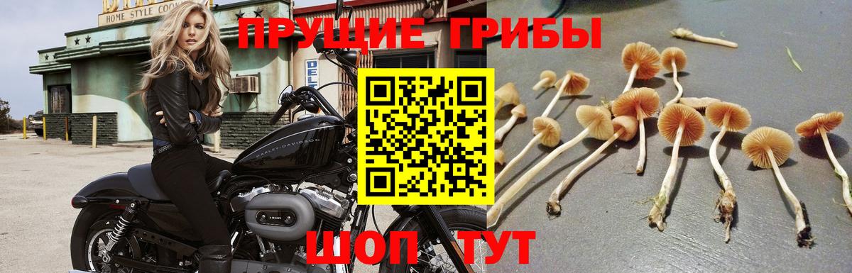 Метадон  КОКАИН  A-PVP СОЛЬ кристаллы  Меф МЯУ МЯУ кристаллы  Воронеж  МАРИХУАНА  Как найти закладки?  Вход с VPN  Гашиш  Героин 