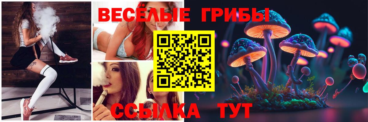 Псилоцибиновые грибы Cubensis  Вход с VPN  Воронеж  Галлюциногенные грибы мицелий 